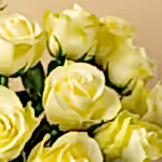 111099_closeup.jpg
