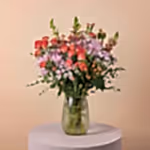 111519_standing.webp