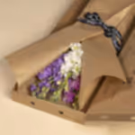 110757_letterbox.jpg
