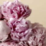 110601_close-up.jpg