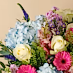 20250415-DSC00040.jpg