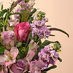 110788_closeup.webp