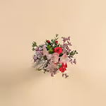 110883_overview.webp
