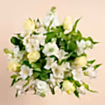111005_overview.webp