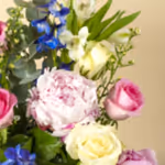 111092_close-up.jpg