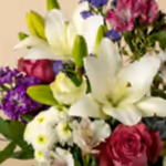 110792_closeup.webp