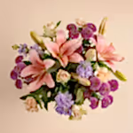 110673_overview.webp
