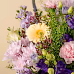111520_closeup.webp