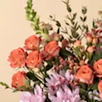 111519_closeup.jpg