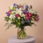 110792_standing.webp