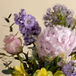 111524_close-up.jpg
