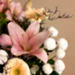 110716_closeup.jpg