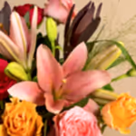 110726_closeup.jpg