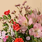 110883_closeup.webp