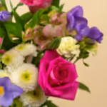 110606_closeup.jpg