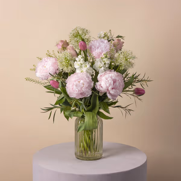 Allium Princess